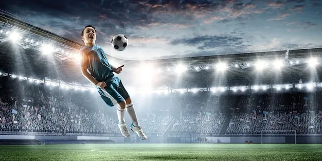 半岛体育官方网站 视觉